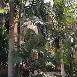 Constantaras Appartement